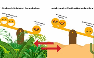 Westliche Ernährung und Darmgesundheit